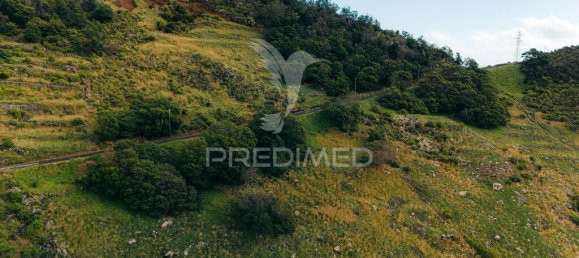 20800m² Land in Machico, Portugal No. 144010 6