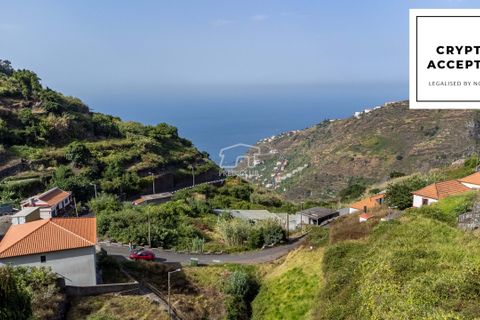  Land in Ribeira Brava, Portugal No. 277706