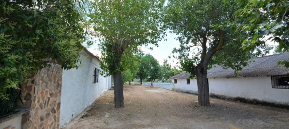 4 bedrooms House in Piedrabuena, Spain No. 69036 24