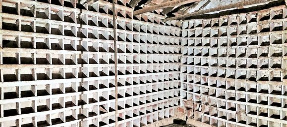 4 bedrooms House in Piedrabuena, Spain No. 69036 11