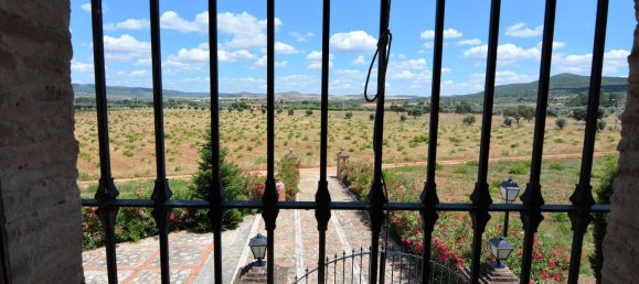 4 bedrooms House in Piedrabuena, Spain No. 69036 10