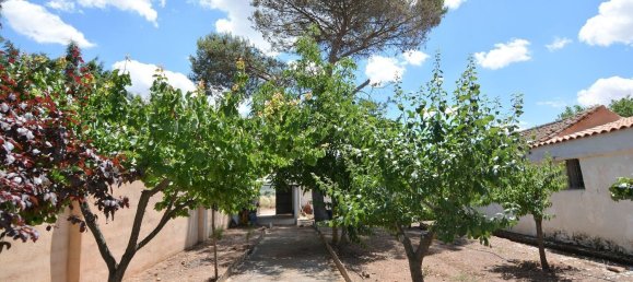 4 bedrooms House in Piedrabuena, Spain No. 69036 20