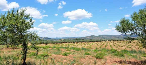 4 bedrooms House in Piedrabuena, Spain No. 69036 27