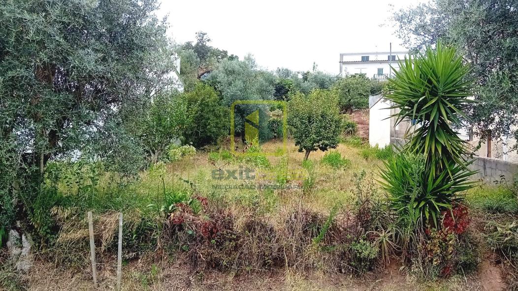  قطعة أرض في Coimbra, Portugal 543متر مربع رقم 268210