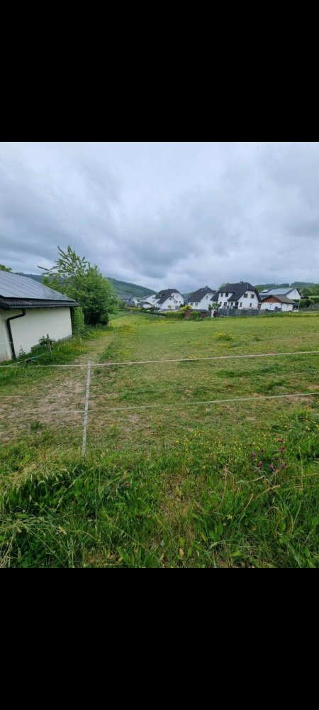 Terrain à Hochsauerlandkreis, Germany No. 281430
