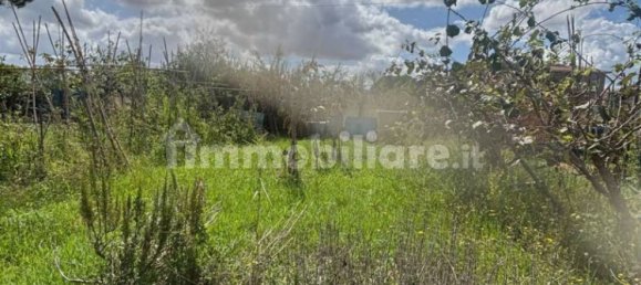 2 Schlafzimmer Wohnung in Collesalvetti, Italy, Nr. 354573 36