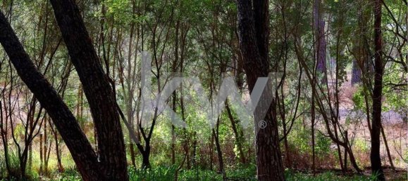 5 Schlafzimmer Haus in Benavente, Portugal, Nr. 51371 10