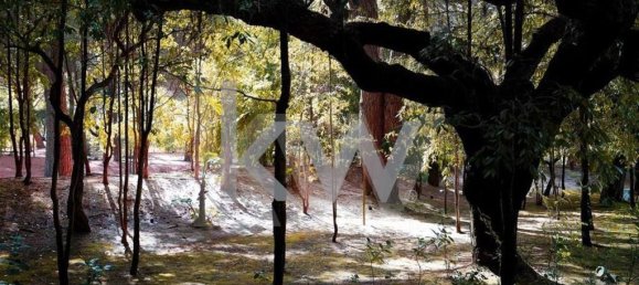 5 Schlafzimmer Haus in Benavente, Portugal, Nr. 51371 11