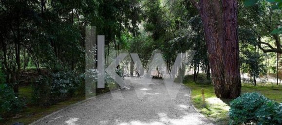 5 Schlafzimmer Haus in Benavente, Portugal, Nr. 51371 8