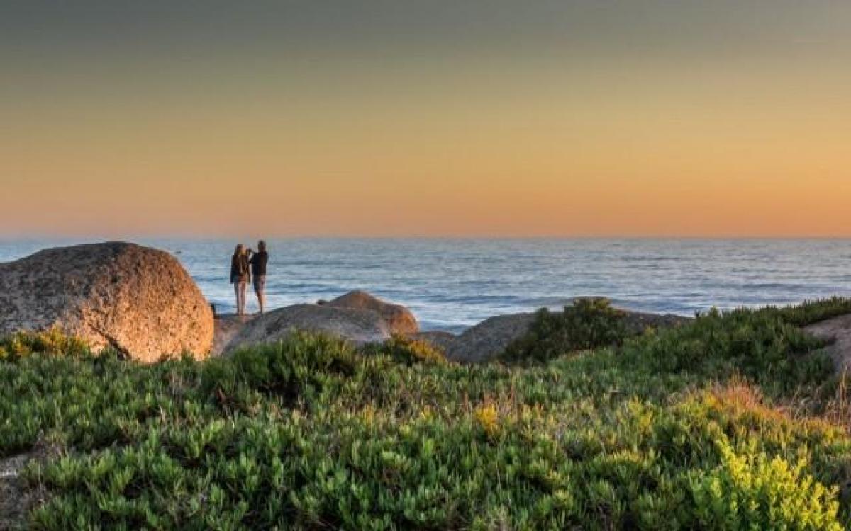 5 bedrooms Apartment in Vila Nova de Gaia, Portugal No. 2797