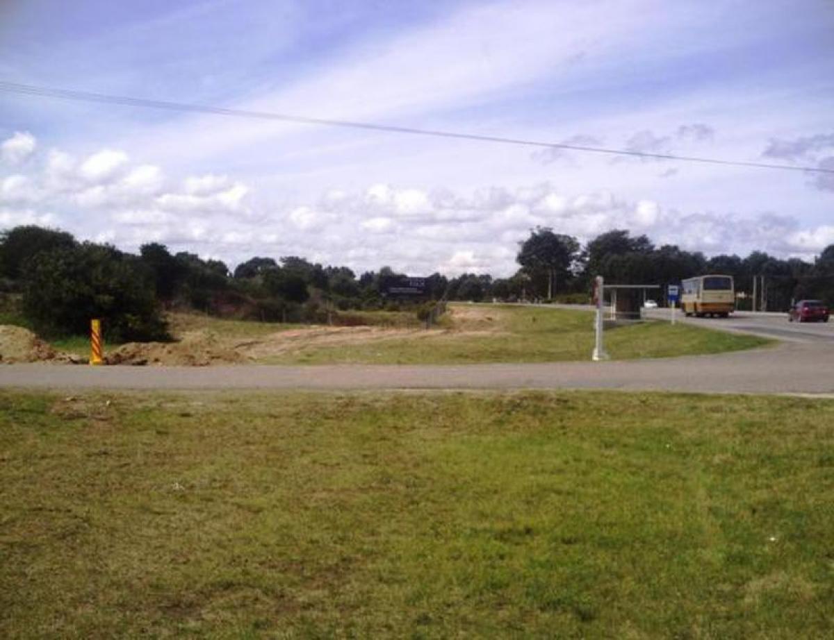  قطعة أرض في Maldonado, Uruguay رقم 15288