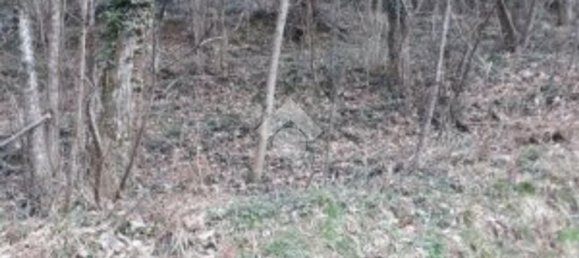 5000m² Land in Borzonasca, Italy No. 303421 5