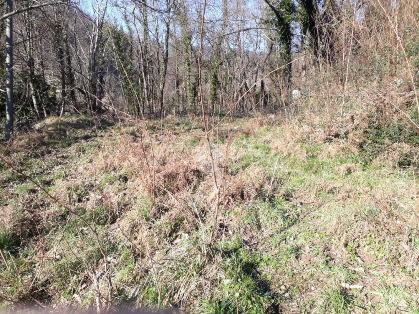 5000m² Land in Borzonasca, Italy No. 303421