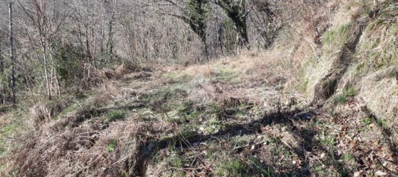 5000m² Land in Borzonasca, Italy No. 303421 10