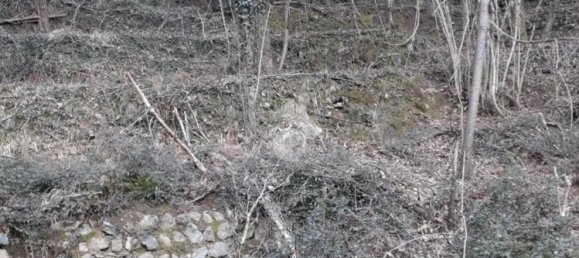 5000m² Land in Borzonasca, Italy No. 303421 2