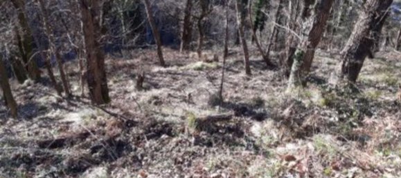 5000m² Land in Borzonasca, Italy No. 303421 7