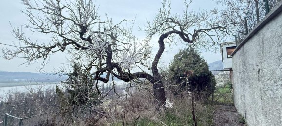 Casa de 10 habitaciónes en Leiben, Austria No. 137486 4