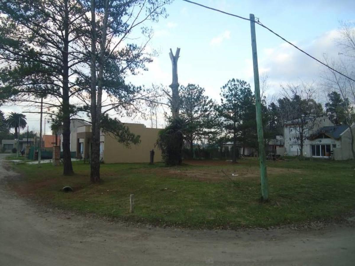  قطعة أرض في San Vicente, Argentina رقم 119987