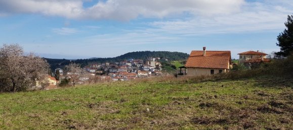 1912m² Hotel in Chalkidiki, Greece No. 5828 4