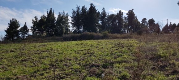 1912m² Hotel in Chalkidiki, Greece No. 5828 5