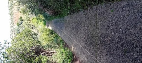  Land in Sorso, Italy No. 347979 22