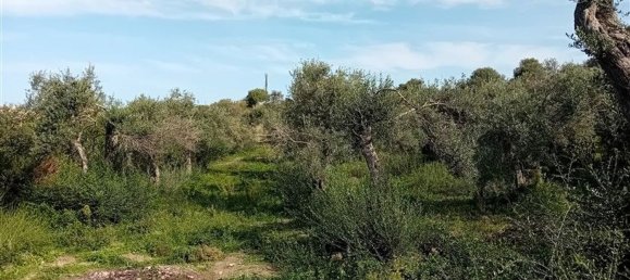  Land in Sorso, Italy No. 347979 11