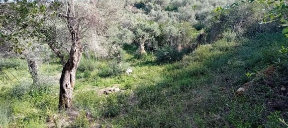  Land in Sorso, Italy No. 347979 14