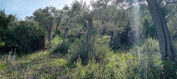 Land in Sorso, Italy No. 347979 8