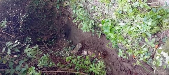  Land in Sorso, Italy No. 347979 18