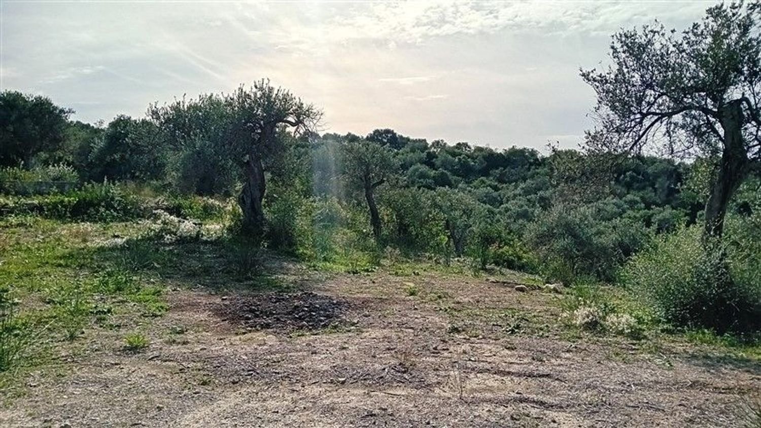  Land in Sorso, Italy No. 347979