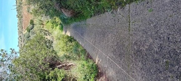  Land in Sorso, Italy No. 347979 23