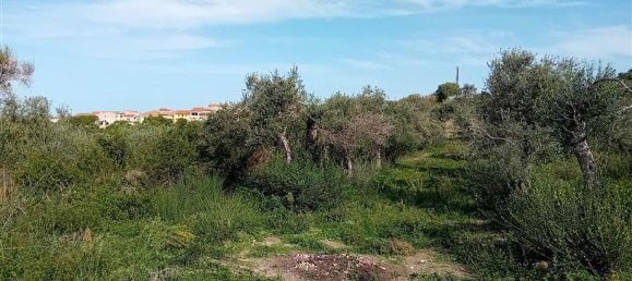  Land in Sorso, Italy No. 347979 12
