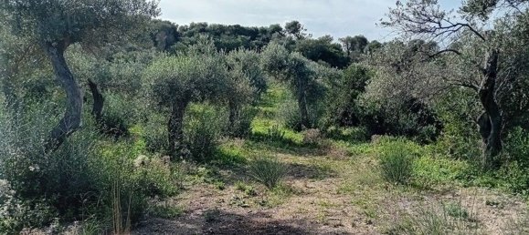  Land in Sorso, Italy No. 347979 5
