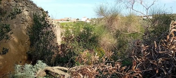  Land in Sorso, Italy No. 347979 16