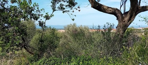  Land in Sorso, Italy No. 347979 17