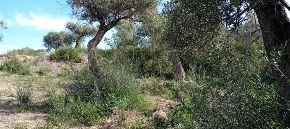  Land in Sorso, Italy No. 347979 6