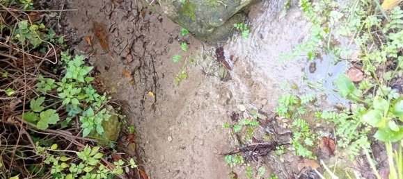  Land in Sorso, Italy No. 347979 20