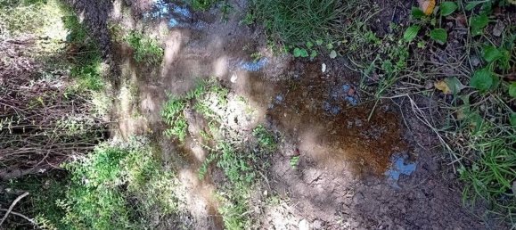  Land in Sorso, Italy No. 347979 21