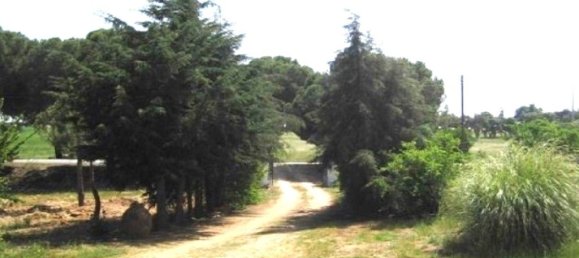 3 bedrooms House in Serpa, Portugal No. 247387 5