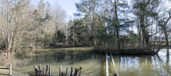 5 bedrooms House in Saint-Paul, France No. 268492 27