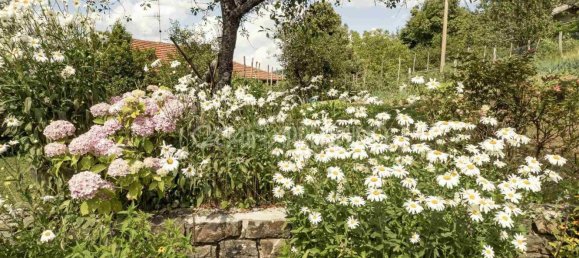 6 rooms House in Palagano, Italy No. 220667 34