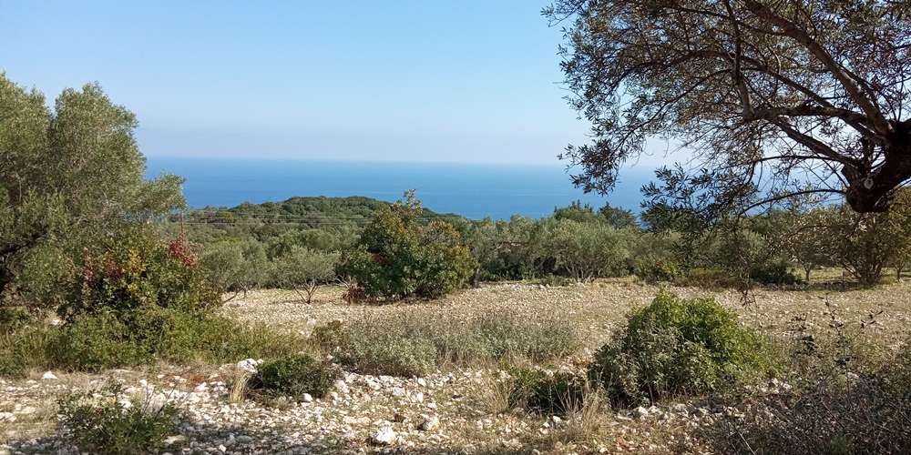 Land for sale in Zakynthos, Ionian Islands, Peloponnese, Western Greece and the Ionian, Greece № 813