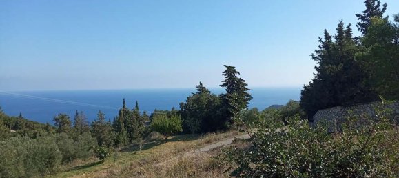 Land for sale in Zakynthos, Ionian Islands, Peloponnese, Western Greece and the Ionian, Greece № 813 4