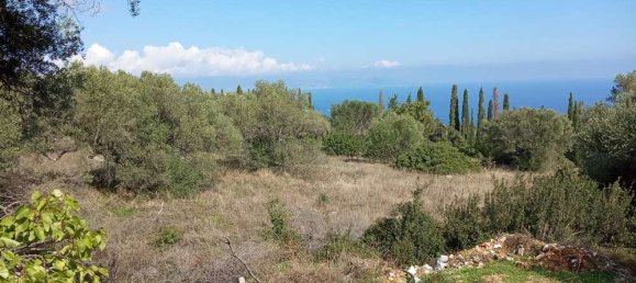 Land for sale in Zakynthos, Ionian Islands, Peloponnese, Western Greece and the Ionian, Greece № 813 11