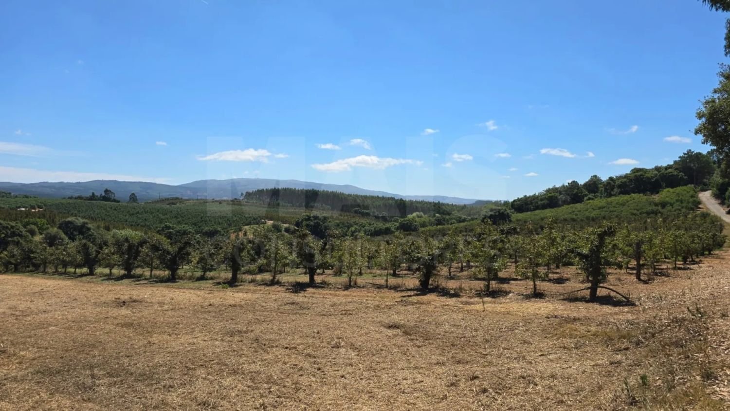 2520m² Land in Cadaval, Portugal No. 293999
