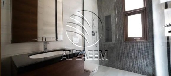 4 غرف نوم فيلا في جزيرة السعديات, UAE رقم 29005 9