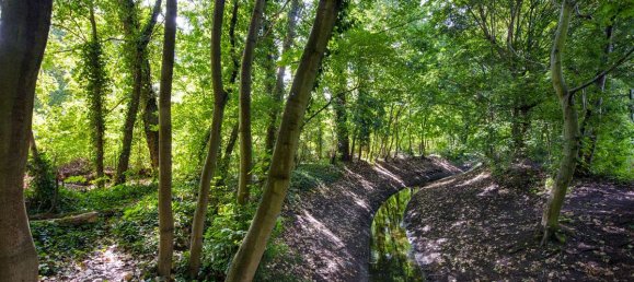 Квартира с 2 комнатами в Веддинг, Германия № 39305 14