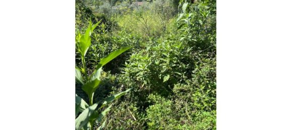 5 rooms House in Capriati a Volturno, Italy No. 319666 7