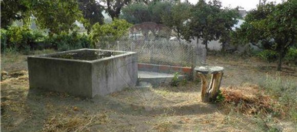 9 bedrooms House in Salgueiro do Campo, Portugal No. 63147 31