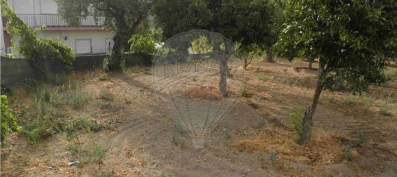 9 bedrooms House in Salgueiro do Campo, Portugal No. 63147 13